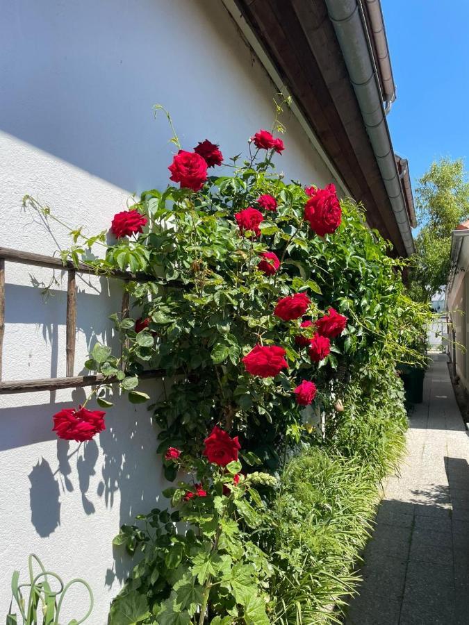 Maison d'hôtes Birnbom Warnemuende