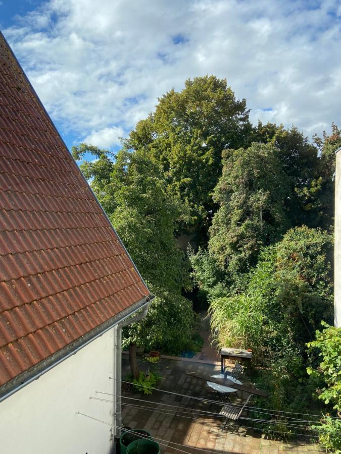 Birnbom Warnemuende Rostock